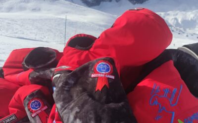NUOVO SPONSOR, GRAZIE A BOTTERI CARNI